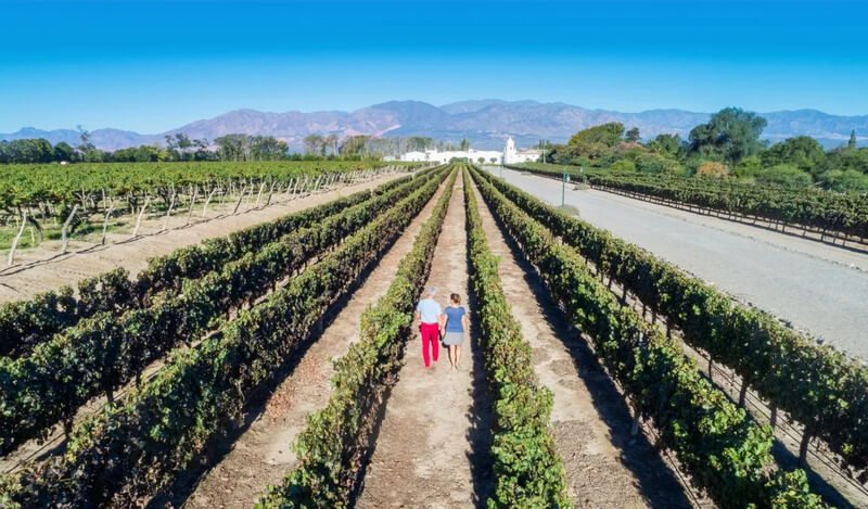 RUTA DEL VINO DE ALTURA CAFAYATE