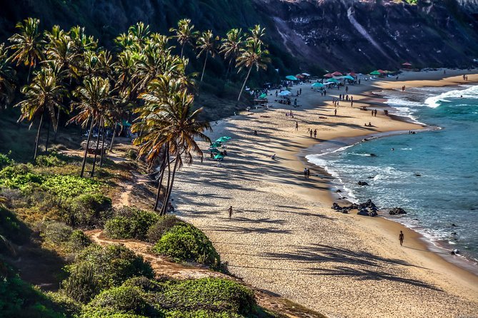 Praia Da Pipa