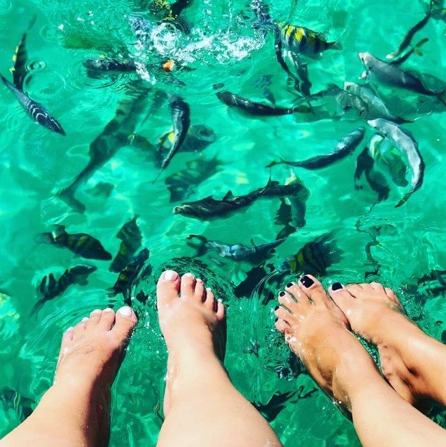 EXCURSION MARINARIUM