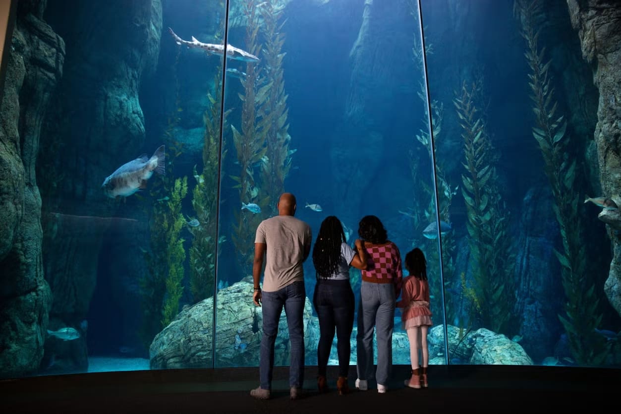 ENTRADA A AQUARIUM OF THE PACIFIC