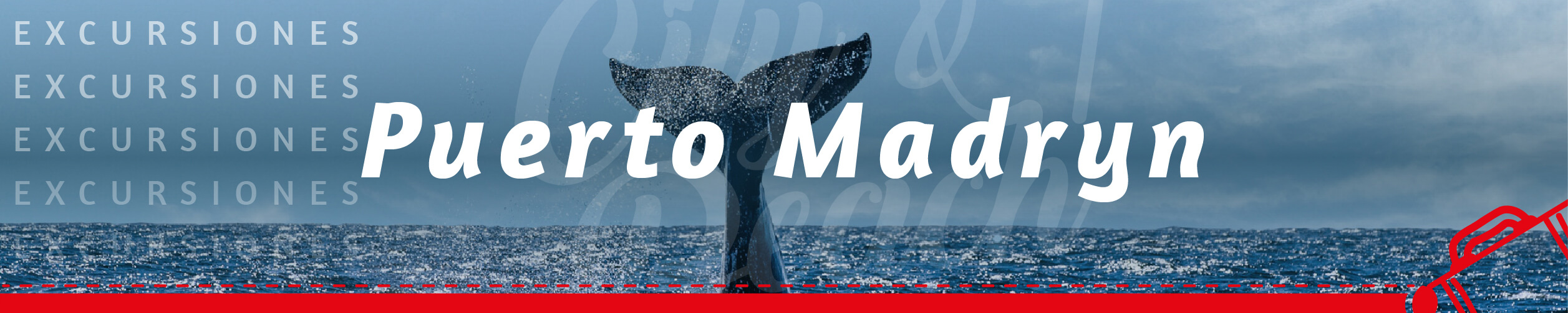 Banner Puerto Madryn