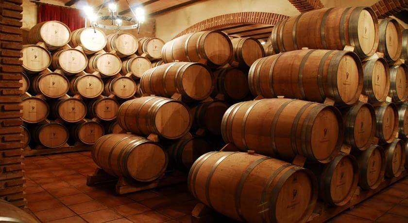 CAMINOS DEL VINO