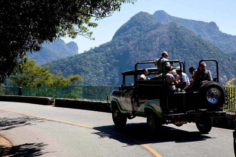 Corcovado + Floresta de Tijuca + Sta Teresa (Jeep)
