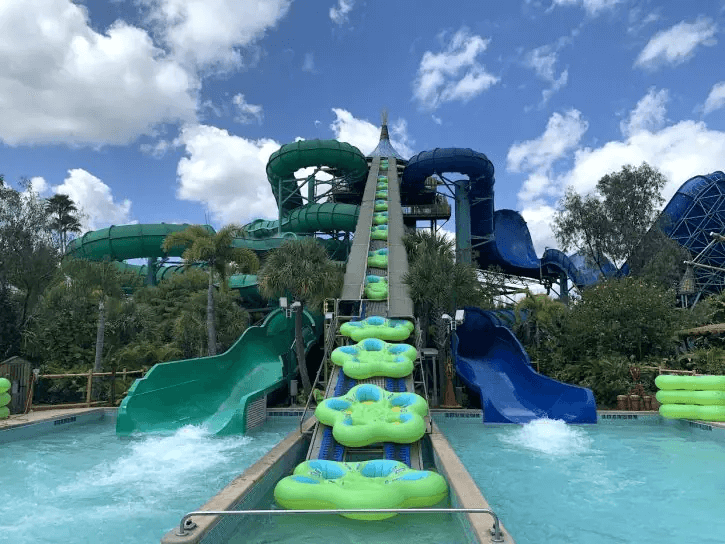 Honu ika Moana Turtle and Whale Ride