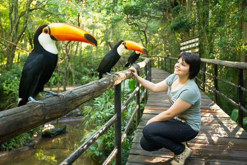 PARQUE DE AVES