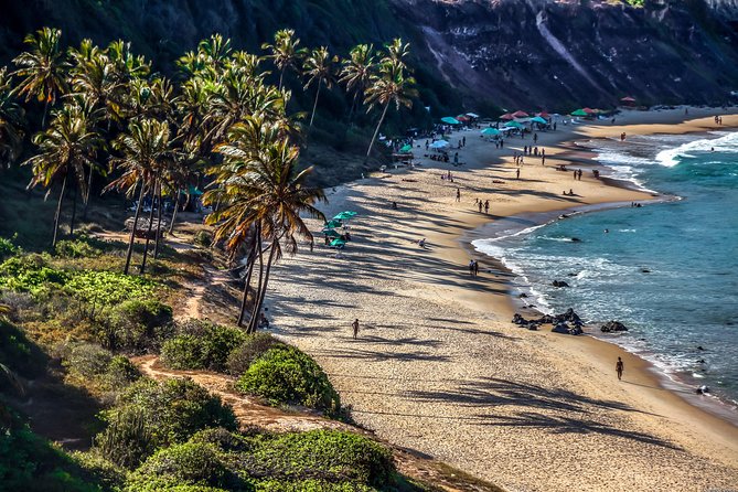 Praia Da Pipa