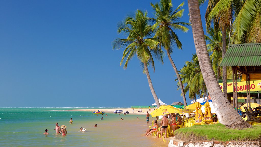 Paseo a Praia Do Gunga (Incluye paseo en barco):