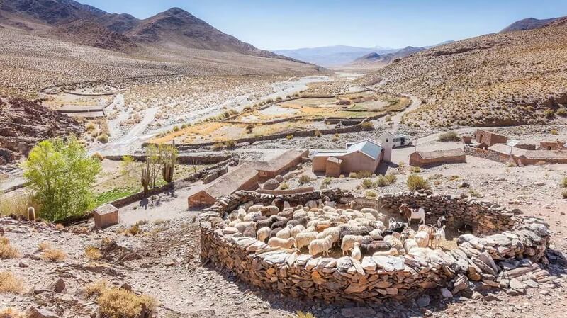 SAN ANTONIO DE LOS COBRES CON VIADUCTO